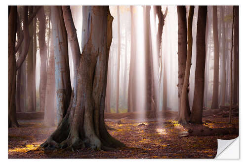 Selvklebende plakat Autumn in the ghost forest