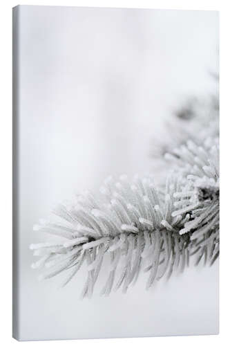 Canvastavla Ice and snow in the winter forest