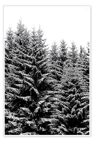 Póster Árvores de natal cobertas de neve