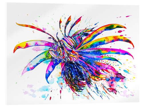 Acrylic print Rainbow Lionfish