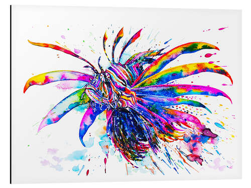 Aluminium print Rainbow Lionfish