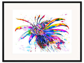 Gerahmter Kunstdruck Regenbogen-Feuerfisch