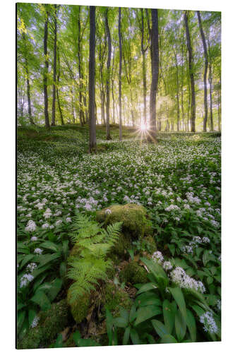 Tableau en aluminium La forêt blanche