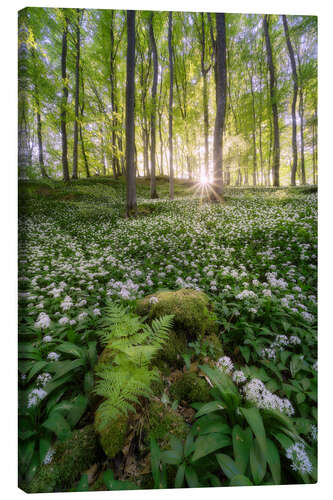 Tableau sur toile La forêt blanche