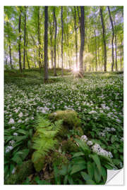 Selvklebende plakat The white forest