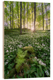 Holzbild Der weiße Wald