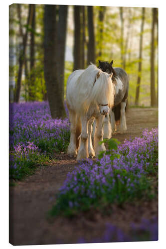 Canvas print Excursion in the Fairytale Forest
