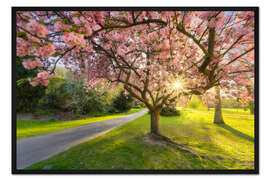 Gerahmter Kunstdruck Blütentraum