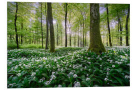 Foam board print In the wild garlic forest