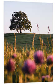 Foam board print Tree of Münsing with cows