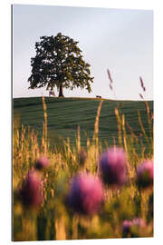 Gallery Print Tree of Münsing mit Kühen