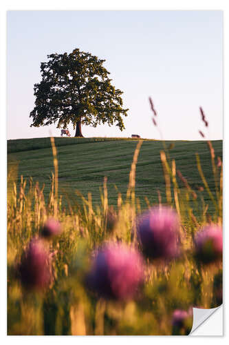 Wall sticker Tree of Münsing with cows