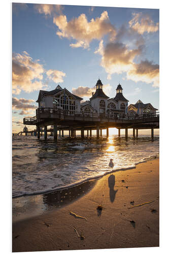 Foam board print Seagull in front of the Sellin pier