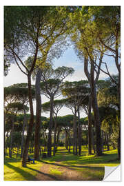 Selvklebende plakat In the pine forest