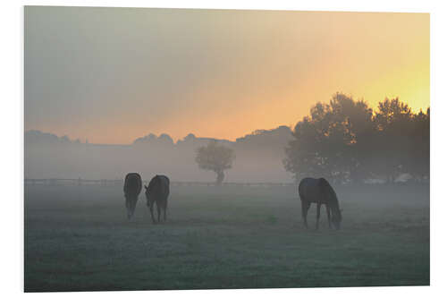 Tableau en PVC Chevaux dans le brouillard