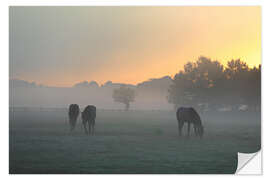 Selvklebende plakat Horses in the fog