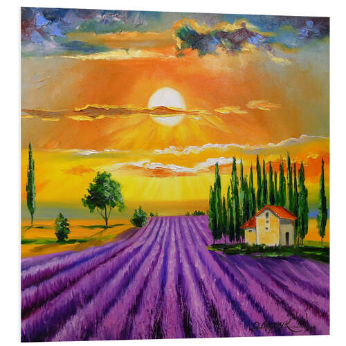 Foam board print Sunset over the  lavender field