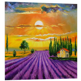 PVC print Sunset over the  lavender field