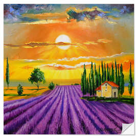 Wall sticker Sunset over the  lavender field