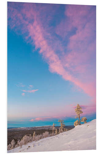 Foam board print Pink sunset in the arctic circle