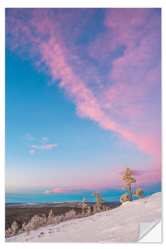 Sisustustarra Pink sunset in the arctic circle