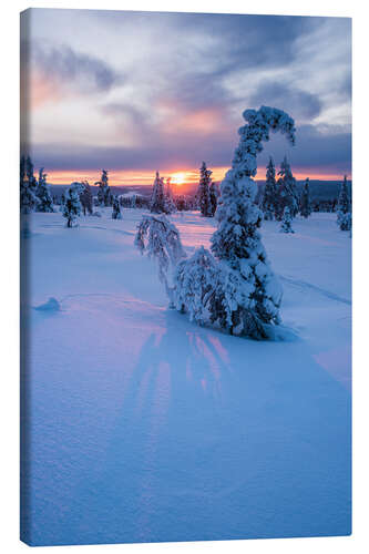 Tableau sur toile Coucher de soleil spectaculaire dans le paysage d'hiver