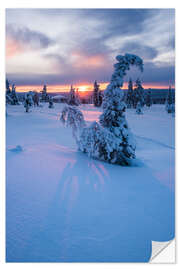 Sticker mural Coucher de soleil spectaculaire dans le paysage d'hiver