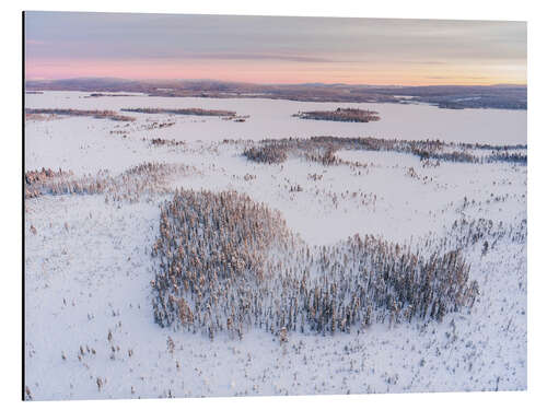 Aluminium print Heart-shaped forest in the winter landscape