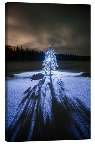 Lienzo Árbol solitario por la noche en el paisaje de invierno