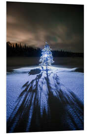 PVC-tavla Lonely tree at night in the winter landscape