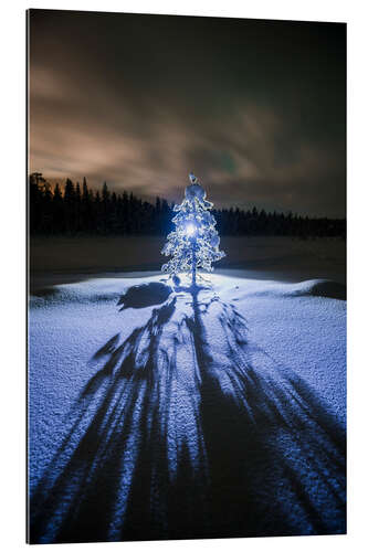 Gallery print Lonely tree at night in the winter landscape