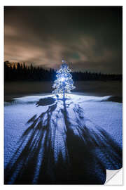 Selvklebende plakat Lonely tree at night in the winter landscape