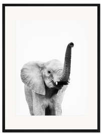 Gerahmter Kunstdruck Hallo Elefant