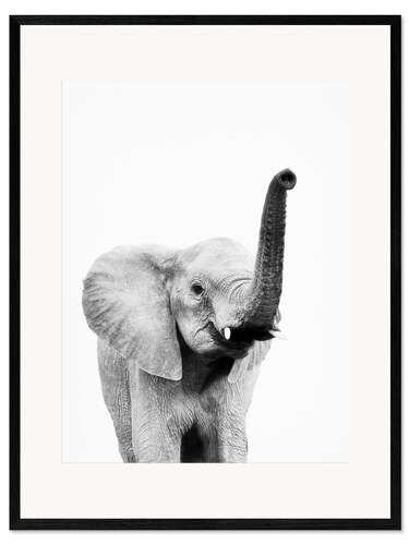Stampa artistica con cornice Ciao elefante