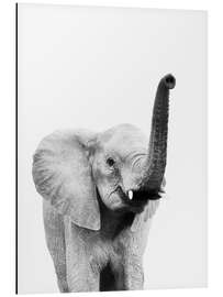 Magnettafel Hallo Elefant