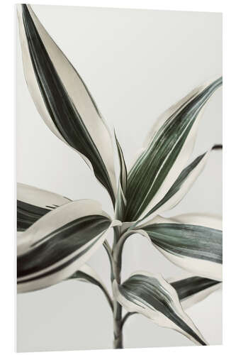 Foam board print Foliage