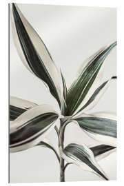 Gallery print Foliage