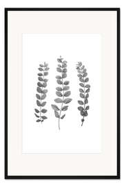 Gerahmter Kunstdruck Botanicals