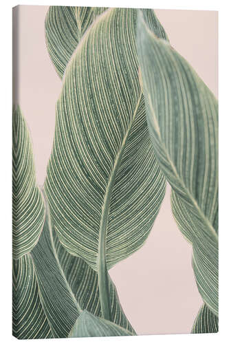 Canvas print Tropical Foliage