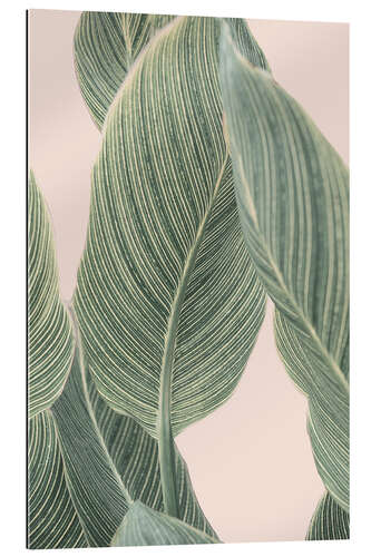 Gallery print Tropical Foliage