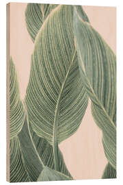 Wood print Tropical Foliage