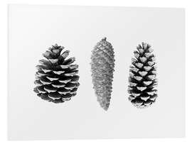 Foam board print Pine Cones