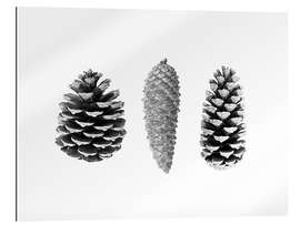 Gallery print Pine Cones