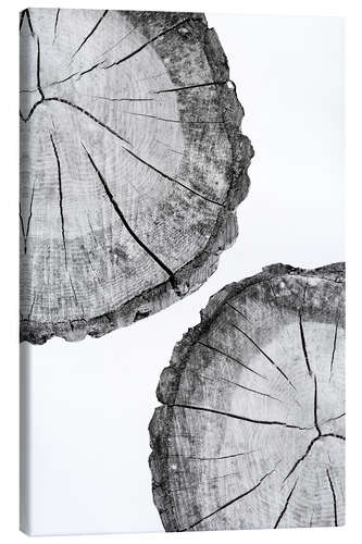 Canvas-taulu Tree