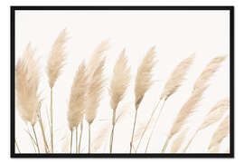 Gerahmter Kunstdruck Pampasgras