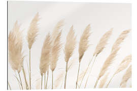 Gallery print Pampas Grass