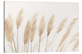 Magnettafel Pampasgras