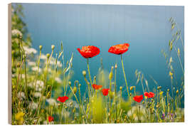 Tableau en bois Prairie de coquelicots au bord du lac