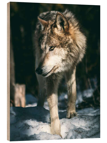 Holzbild Wolf auf der Pirsch