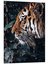 PVC-taulu Tiger in profile